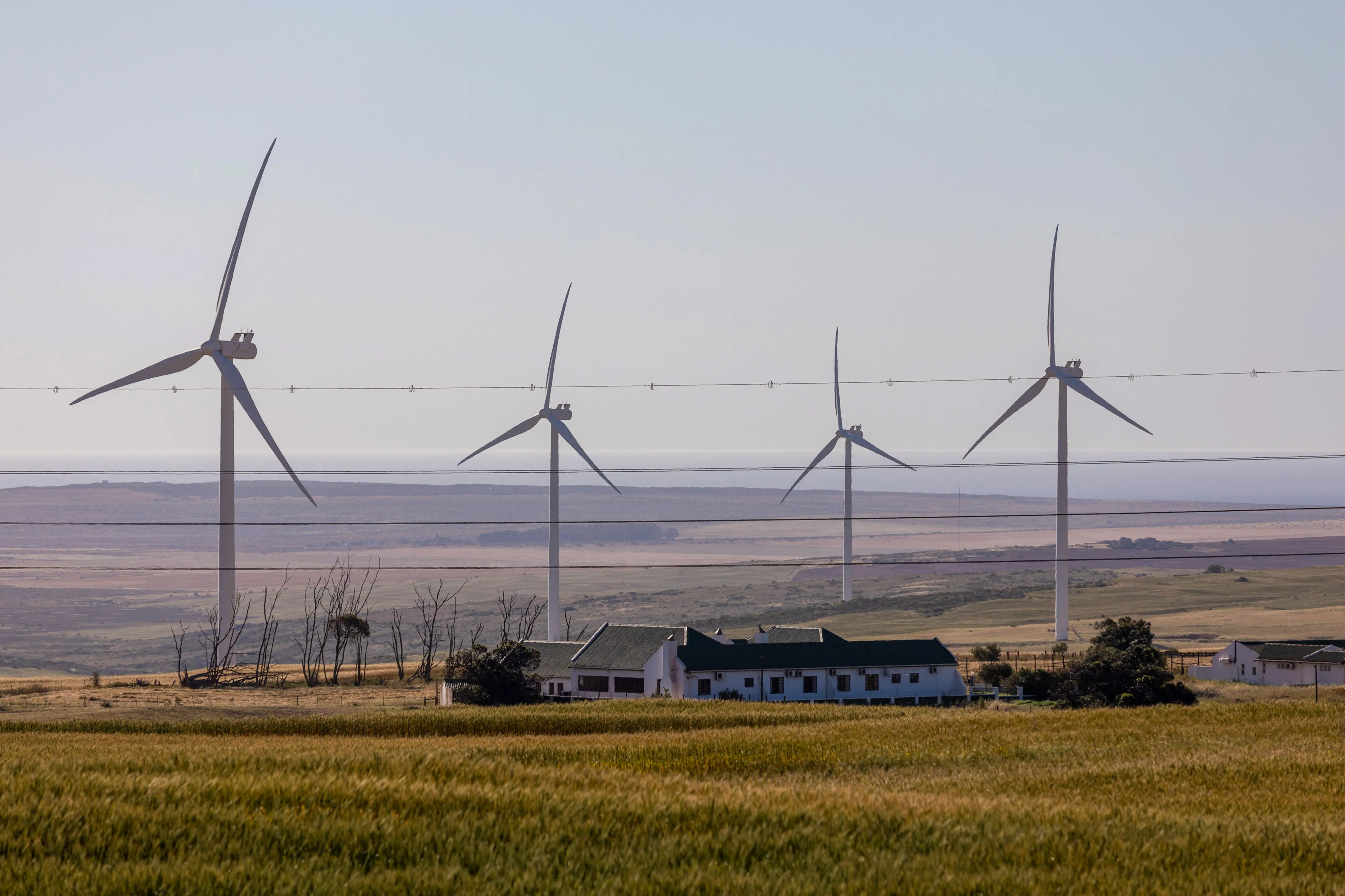 South African Wind Farms as Renewables Pressure Mounts