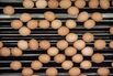 Operations at a CP Group Egg Factory