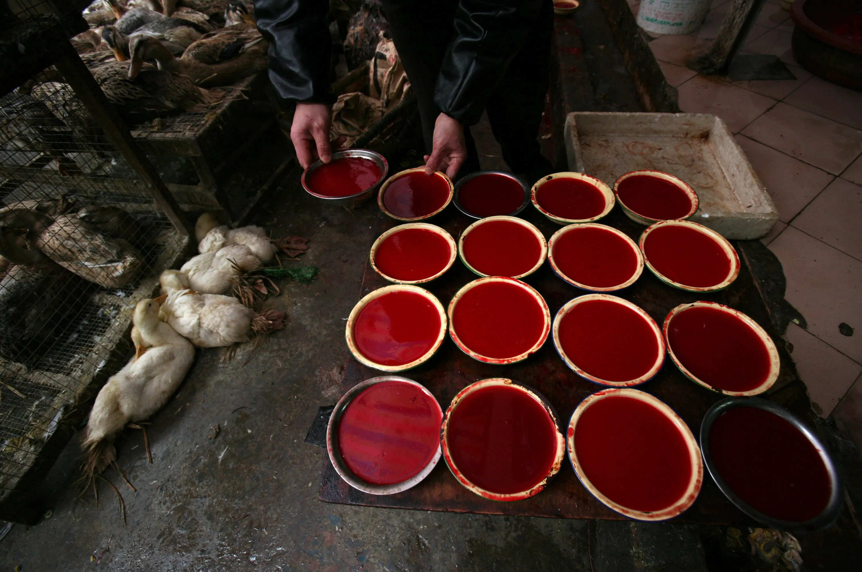 That's not raspberry Jell-O.&nbsp;Source: China Photos/Getty Images