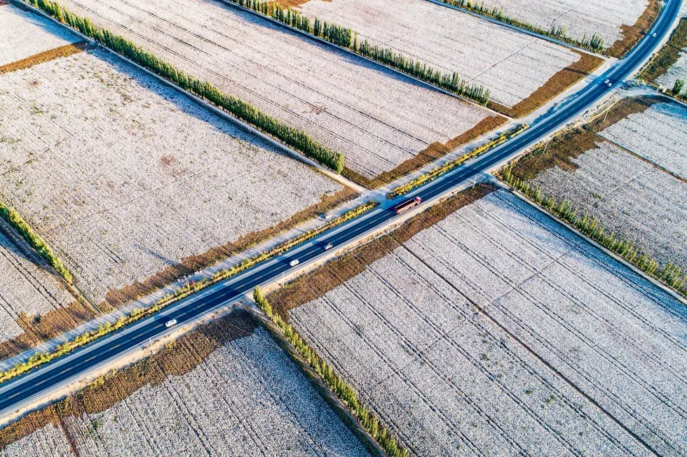 CHINA-AGRICULTURE