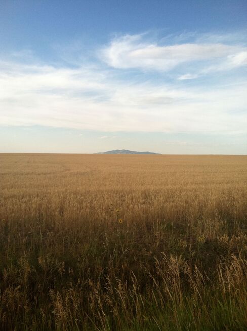 The landscape flattens and wheat replaces rock as you head east from Livingston into the plains.
