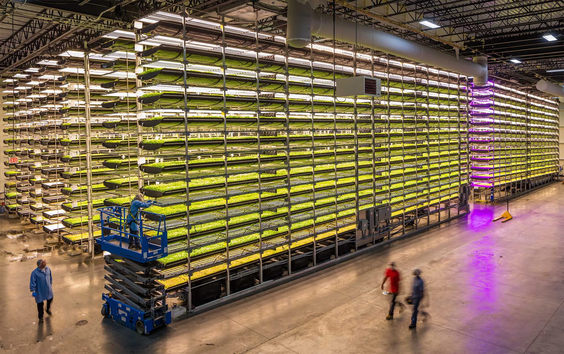 AeroFarms is one of the country’s best-known vertical farms.