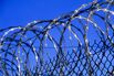 Barbed wire fence of a prison