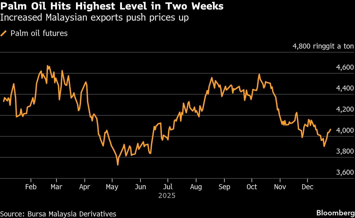 ⚫️ BLOOMBERG: L'olio di palma raggiunge il massimo in due settimane grazie all'aumento della domanda malesiana