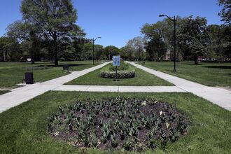 Trump Funding Cuts Put New Stresses on City Parks