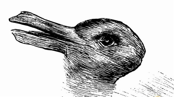 Judge Barrett and the Duck-Rabbit Test