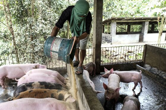 Philippines Says It Can’t Meet 25% of Pork Requirement This Year