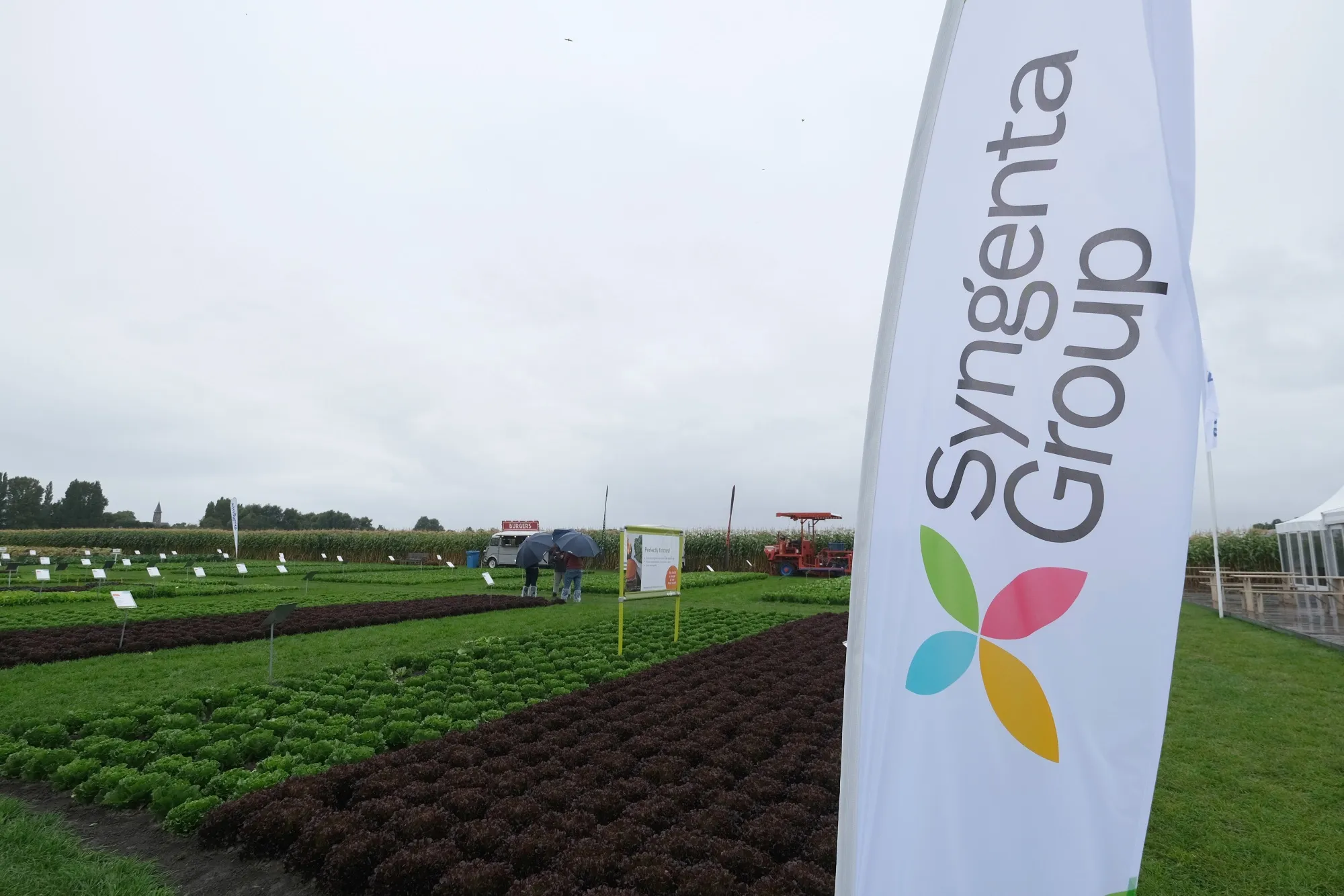 Growing beds for seed development at the Syngenta AG Fields of Innovation crop sit&nbsp;in Grootebroek, Netherlands.