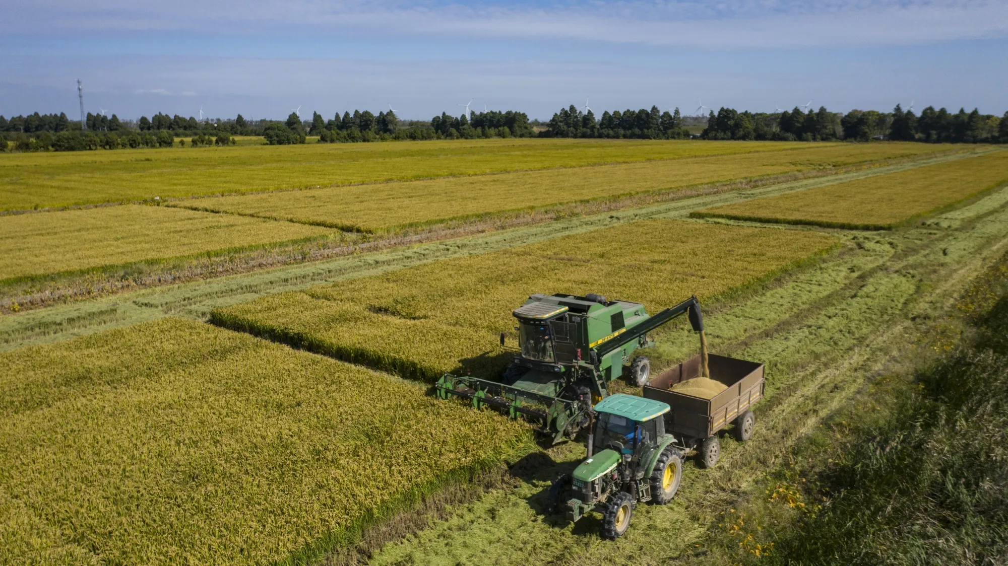 The nation will maintain grains output at more than 650 million tons annually, a target it has exceeded in the past six years.