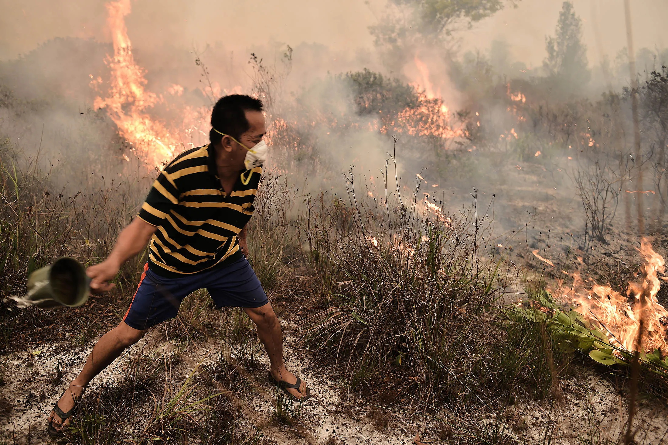 A villager tries to extinguish a peatland fire on the outskirts of Palangkaraya in central Kalimantan.

