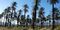 Lowest: Calipatria, Calif.