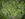 Gabon Touts Forestry And Sustainable Logging as Carbon Offset Solution
