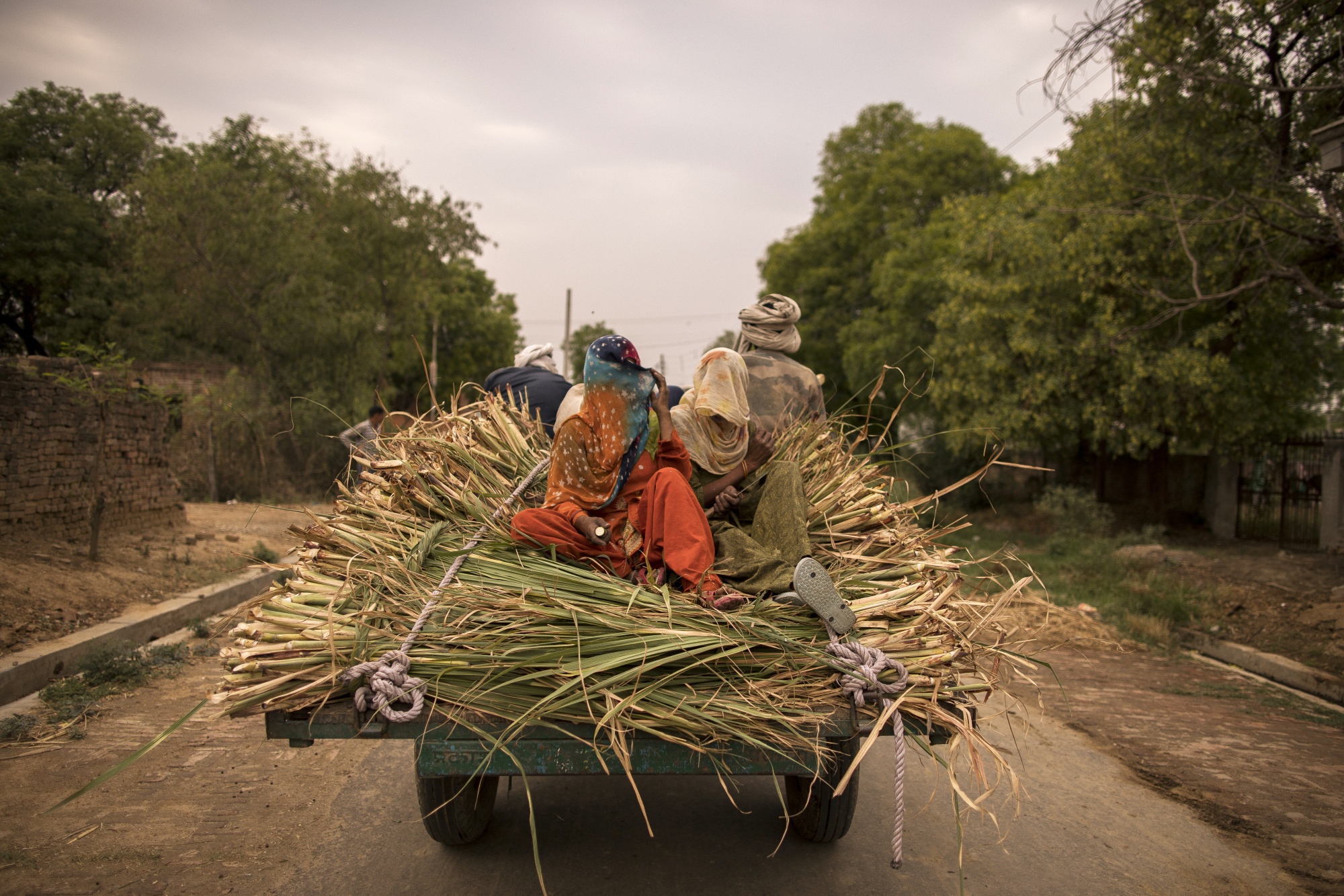 General view of the village as farmers on a cart use a cloth to cover their face in the village Bassi, in Baghpath, Uttar Pradesh, India
