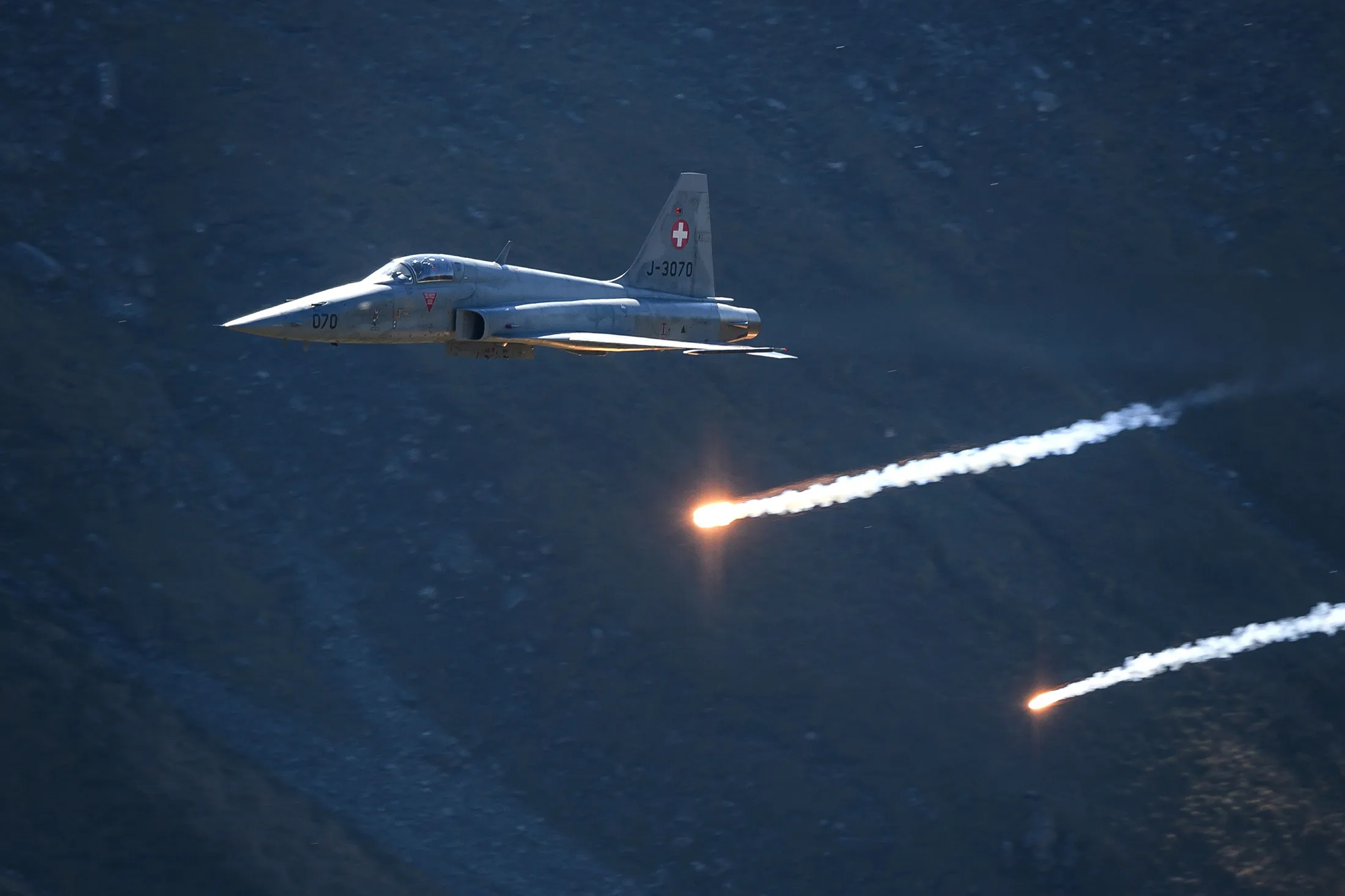 A Swiss Air Force F-5 Tiger fighter jet.