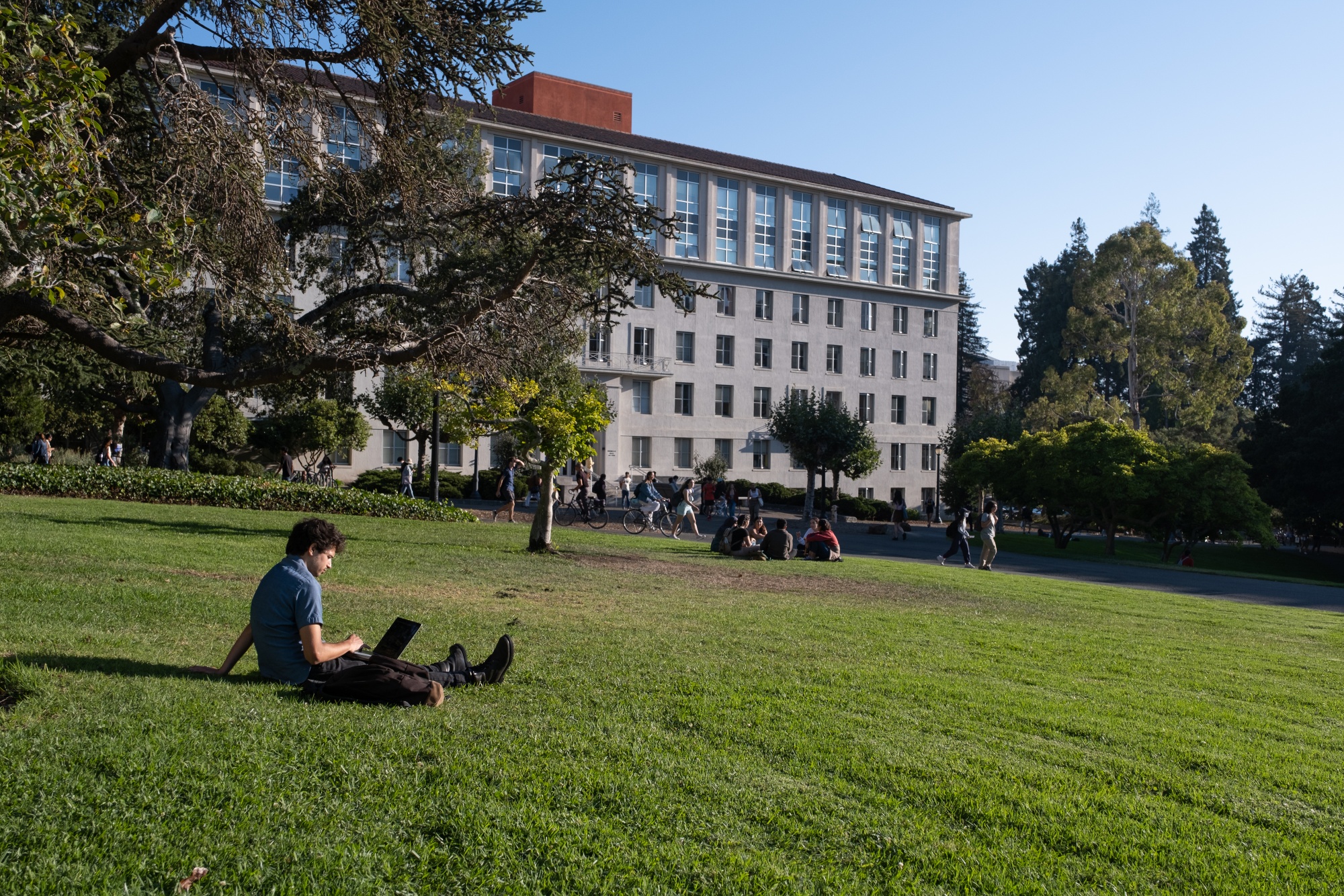 Men Missing From US Jobs Market Set for Comeback SF Fed Research