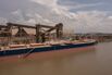 A $30 Billion Export Deluge Is Milei’s Chance to Rebuild Reserves
