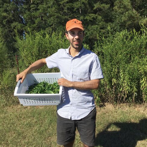 David Bromwich, of the soon-to-be-launched Bromwich Tea, during his first production run in Mississippi this past September.