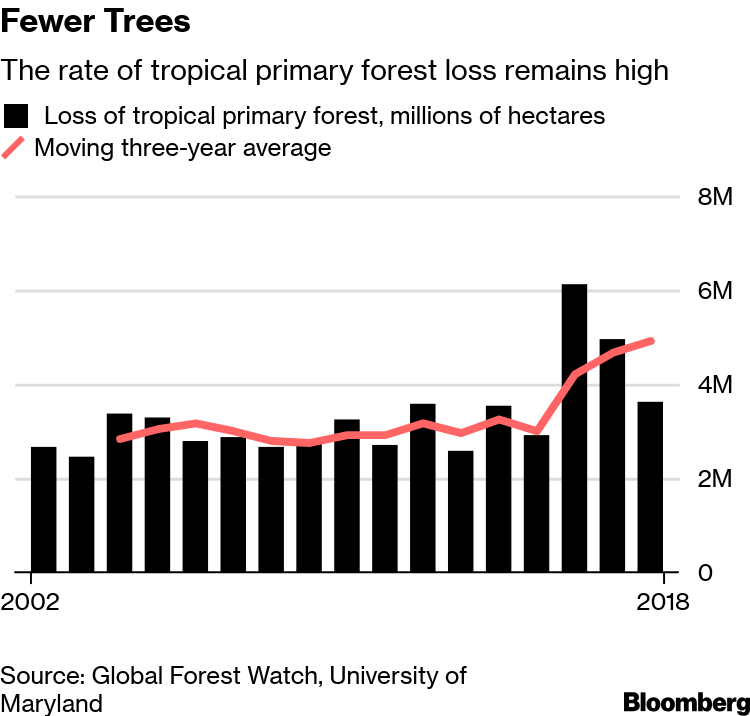 Deforestation Chart 2018