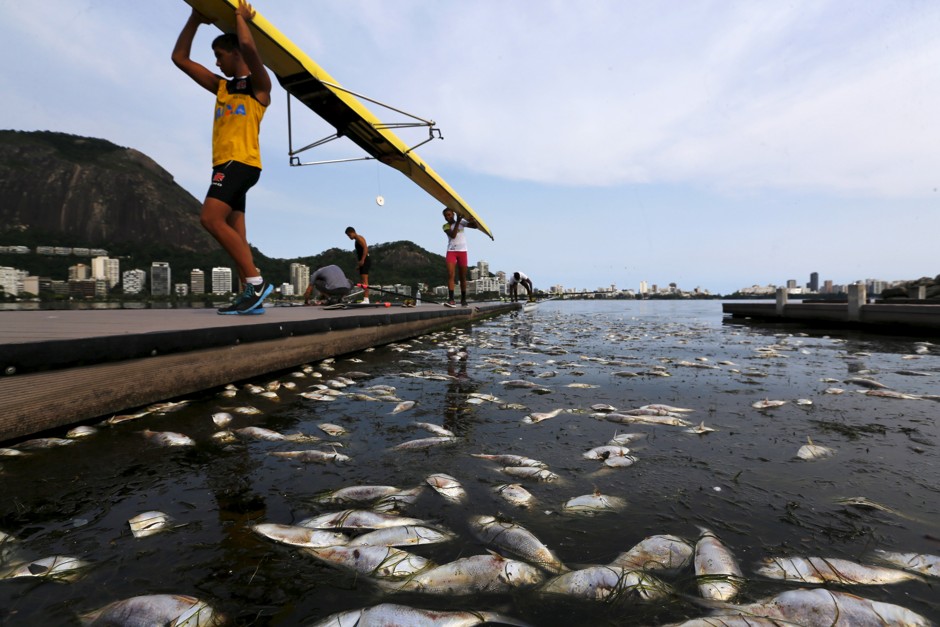 Dead fish are pictured next to rowing athletes carrying their boat before a training session at the Rodrigo de Freitas lagoon in Rio de Janeiro on April 13, 2015.