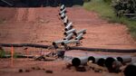 Sections of pipe sit on top of wooden supports at an Energy Transfer Partners LP construction site for the Sunoco Inc.Â MarinerÂ EastÂ 2Â natural gas liquids pipeline project near Morgantown, Pennsylvania, U.S. on Aug. 4, 2017. The Pennsylvania Department of Environmental Protection hasÂ issuedÂ four notices of violation after &quot;inadvertent&quot; spills of drilling fluids associated with horizontal directional drilling for the project.