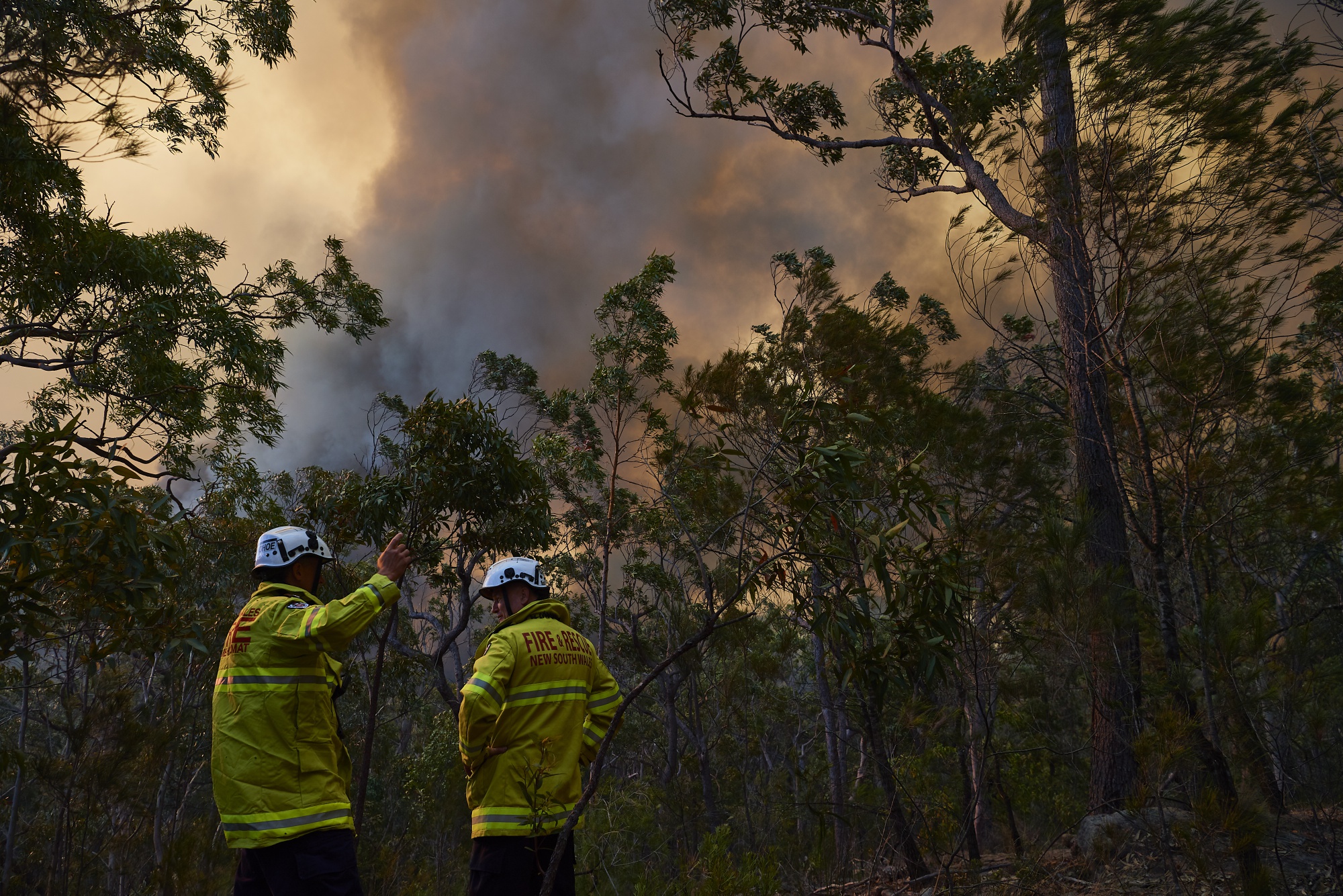 Fire crews monitor a wildfire in Penrith, Australia, in November.&nbsp;Australia is grappling with an early and extraordinarily fierce wildfire season.