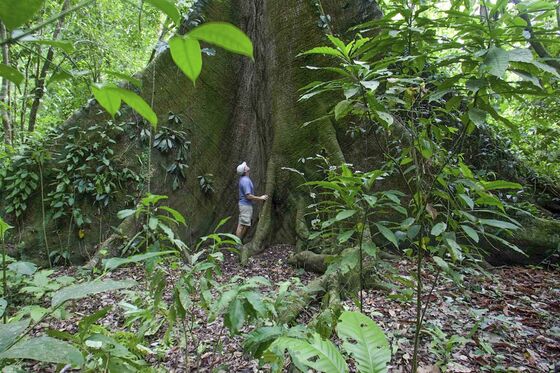 For $24 Million You Can Buy 3,300 Acres of Costa Rican Paradise