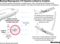 Boeing Reprograms 737 System Linked to Crashes