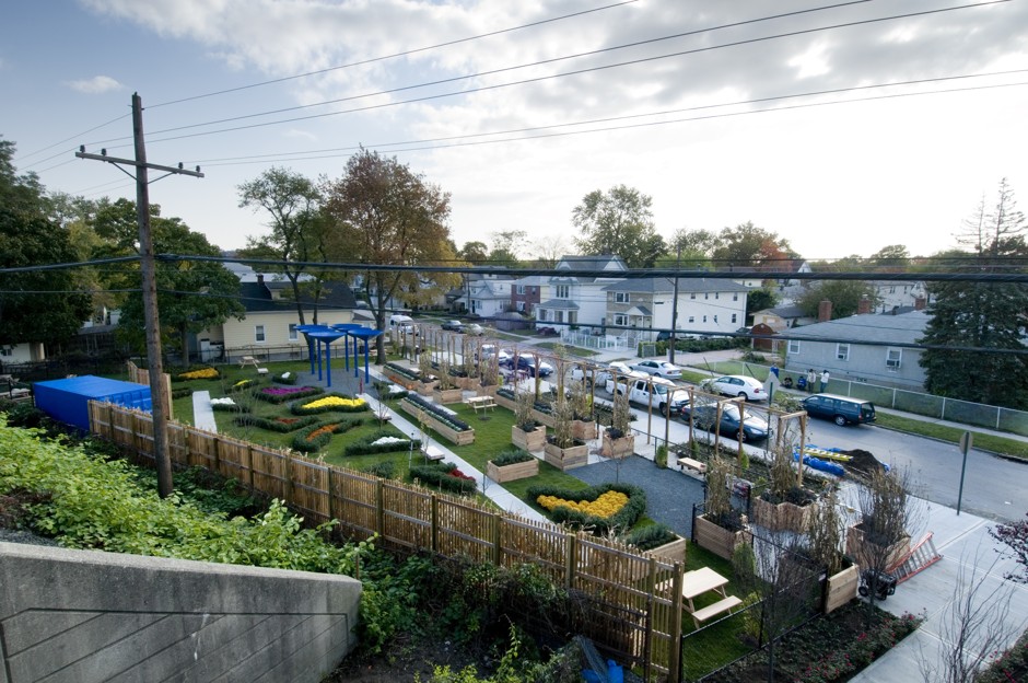 The 50 Cent Community Garden in Jamaica, Queens.