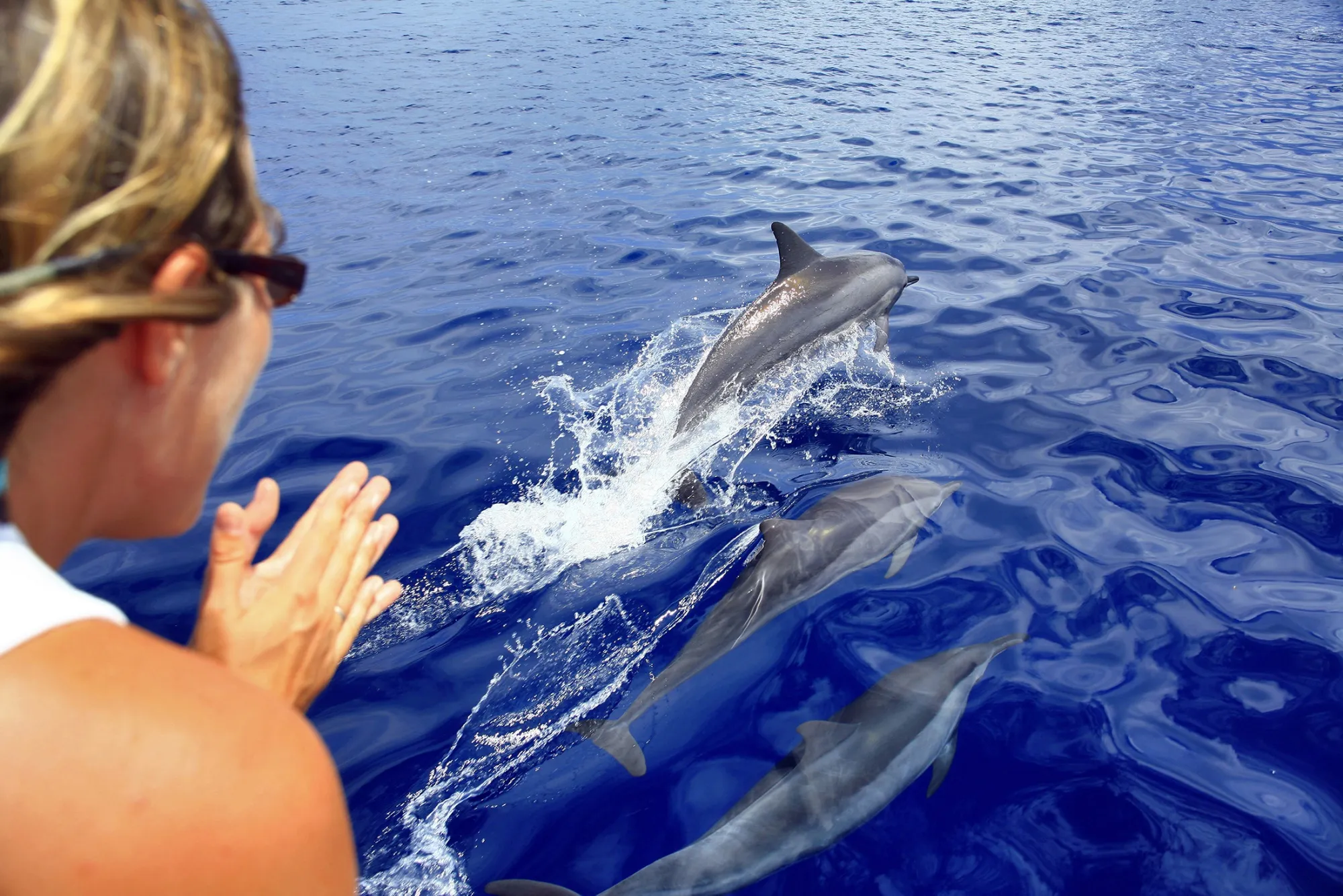a woman watches spinner dolphins leap out the ocean near Aldabra