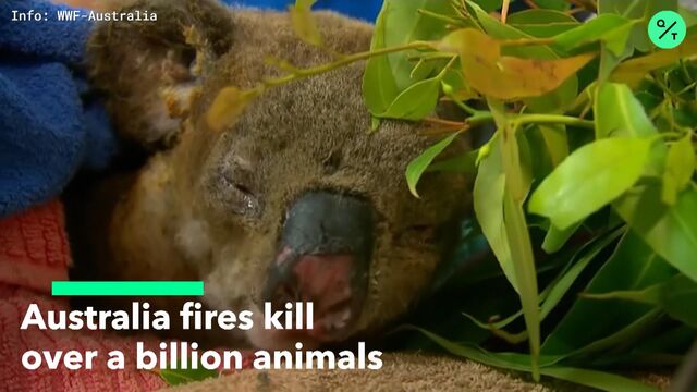 Bloomberg business news