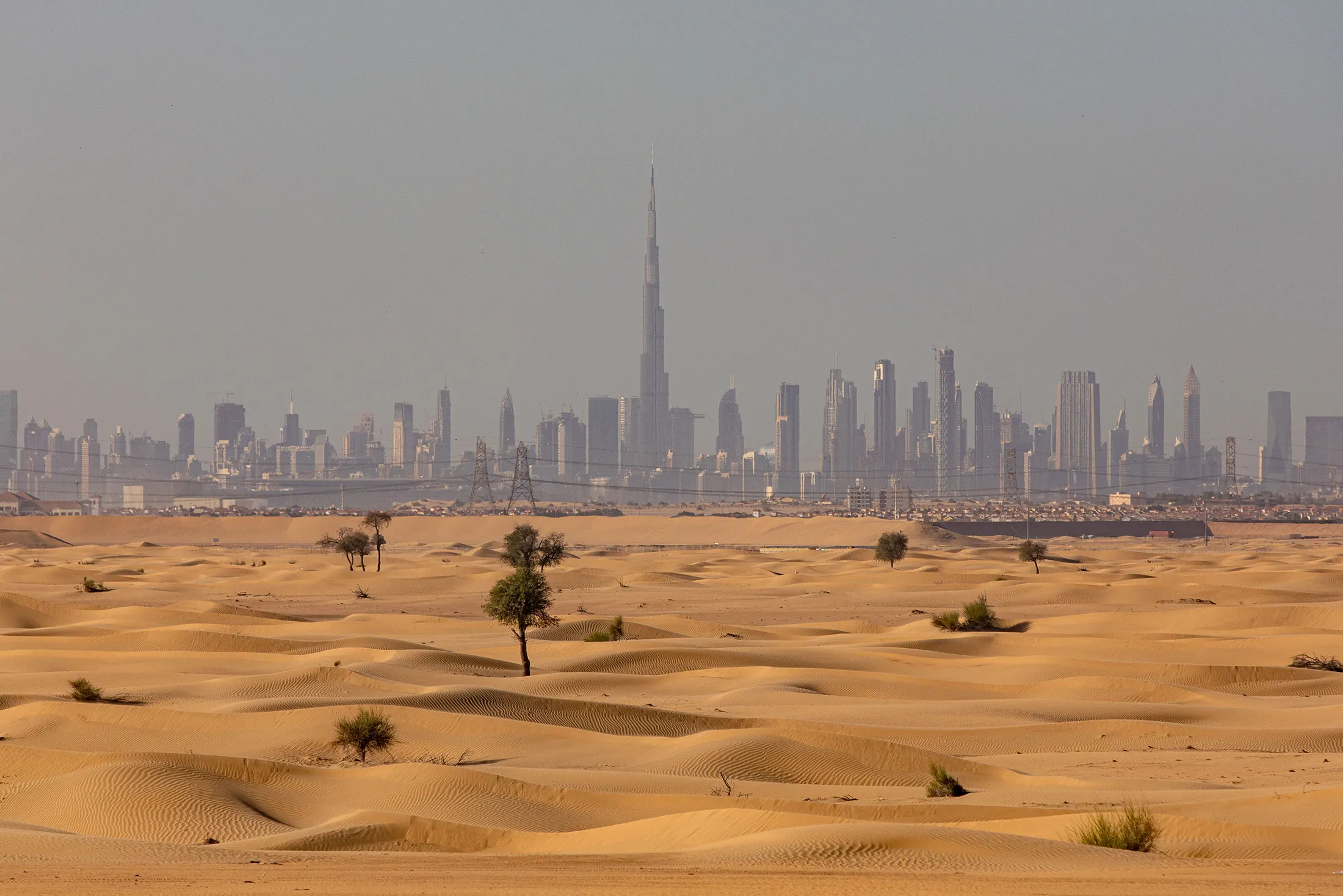 Biggest Alleged Crypto Scams: US Finds Ponzi Schemes Run in Dubai Make  Billions - Bloomberg