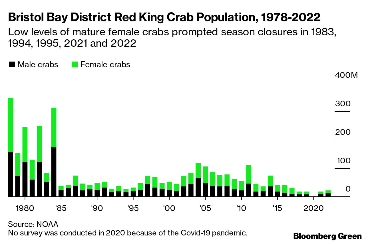 Alaska's Snow Crab Collapse Is Likely Tied to Climate Change - Bloomberg