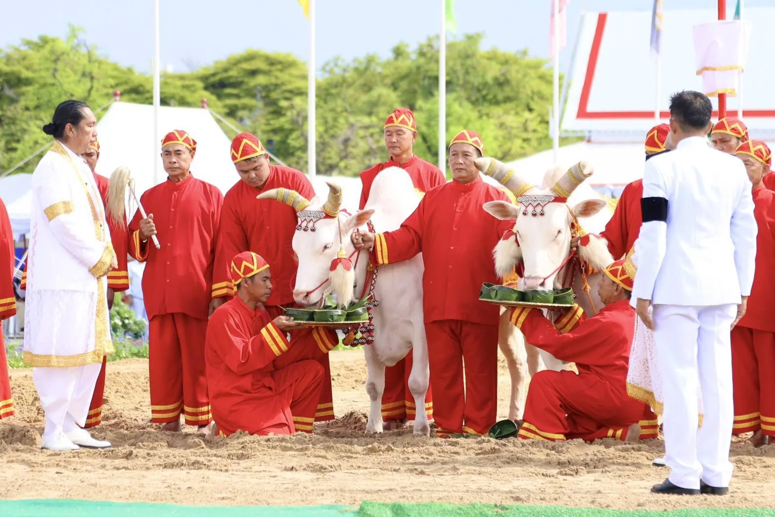 The Royal Ploughing Ceremony in Bangkok on May 13.