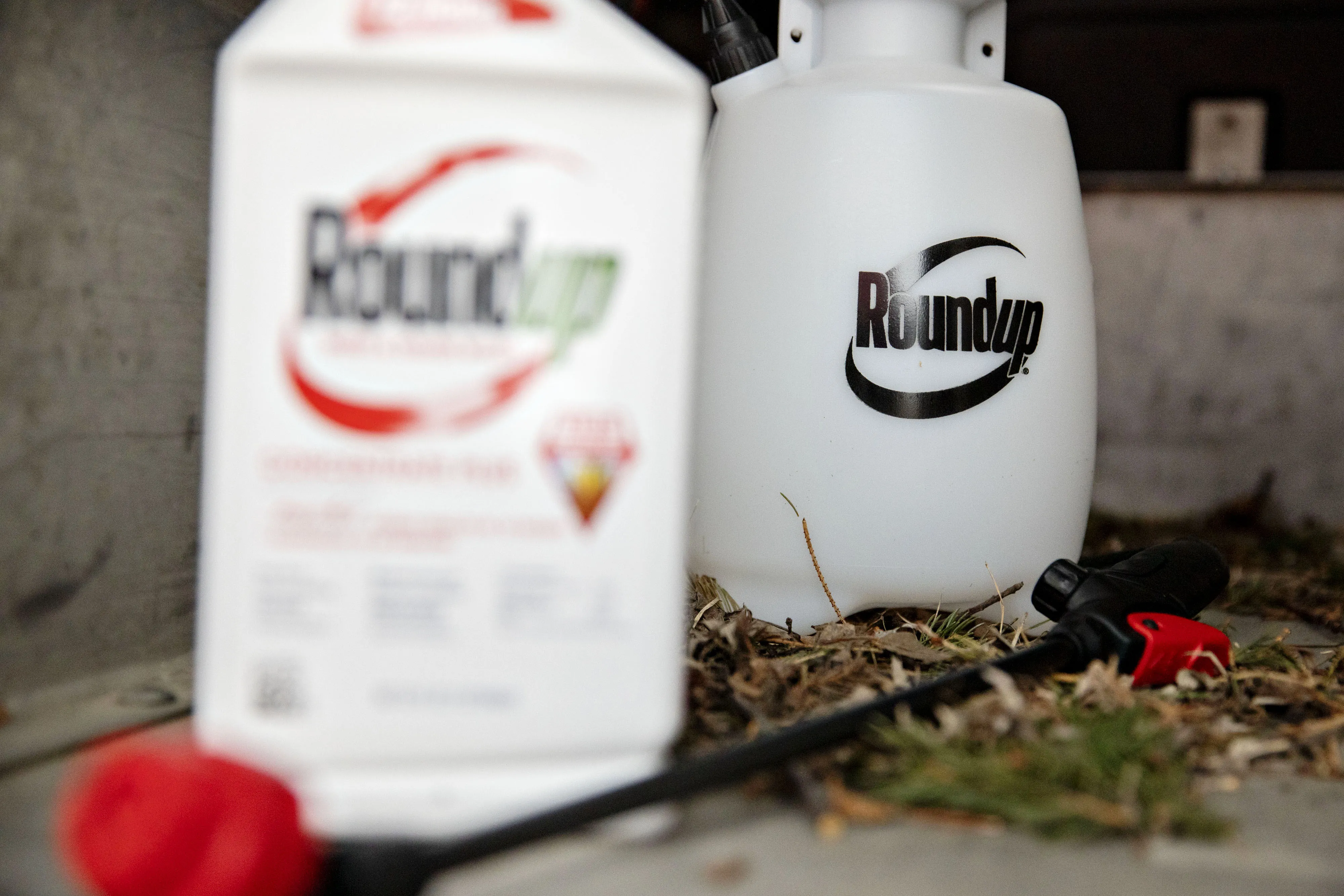 Roundup weedkiller.