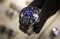 A Rolex Group Deepsea Blue watch