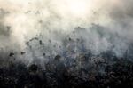 Smoke rises as fires burn in the Amazon rainforest in&nbsp;Porto Velho, Brazil, on&nbsp;Aug. 24, 2019.