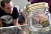 Customers shop for marijuana at Top Shelf Cannabis, a retail store, on July 8, 2014, in Bellingham, Wash.
