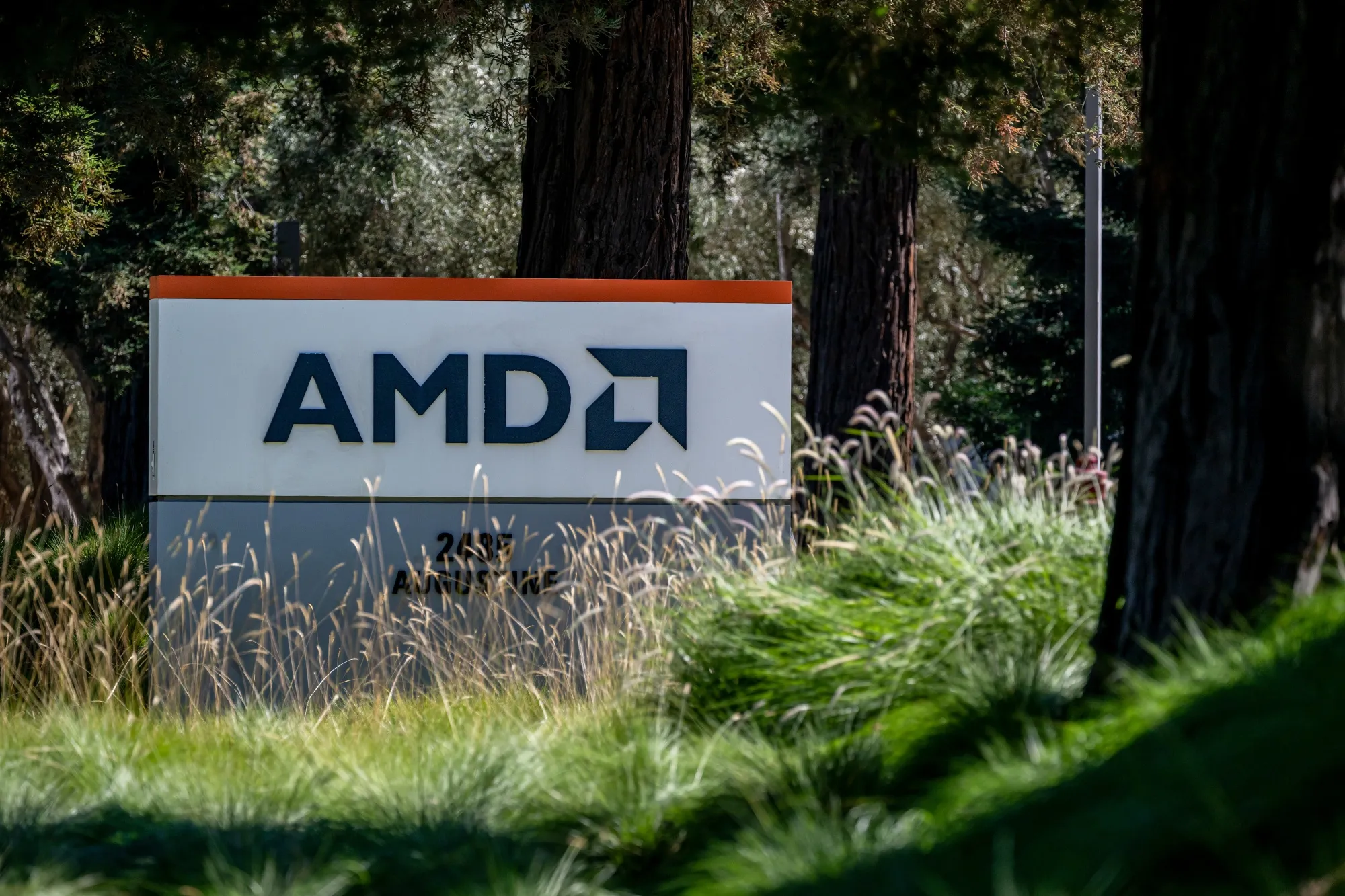 One-Day Wipeout of an AMD Product Reminds Investors of 3x ETF Risks -  Bloomberg