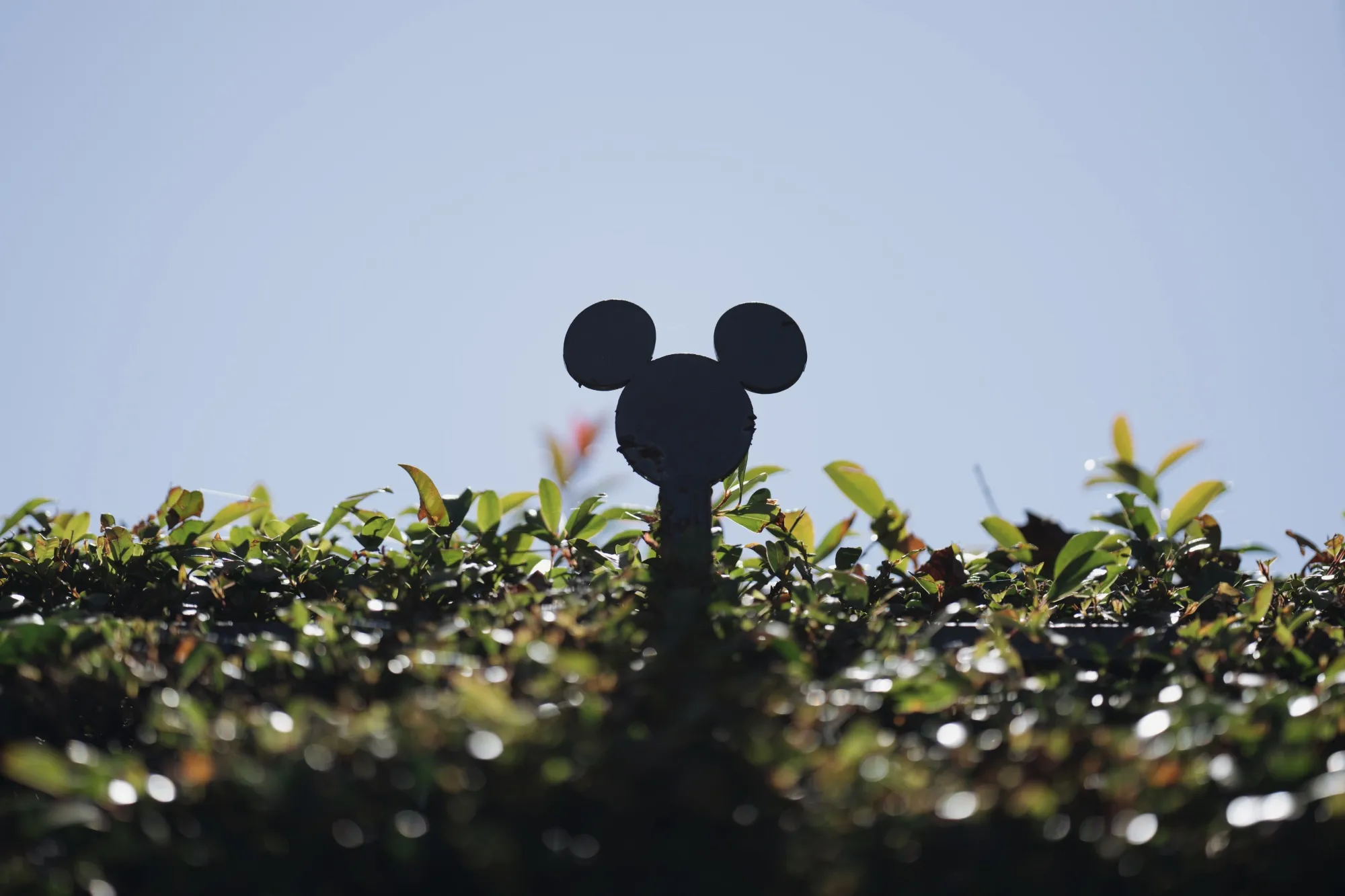 Earlier this year Disney said it would end the Reimagine Tomorrow program that Carr called out.
