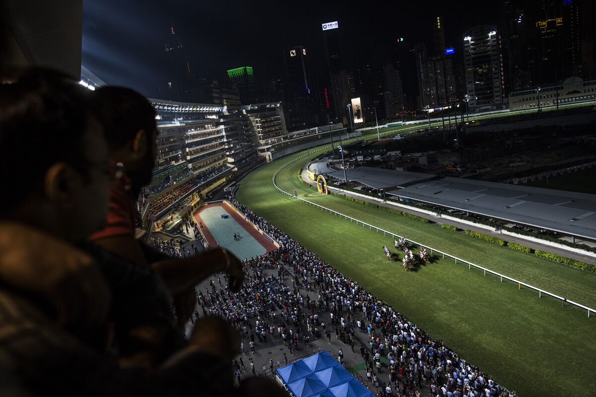 Hong Kong Horse Racing Is Serious Business Bloomberg