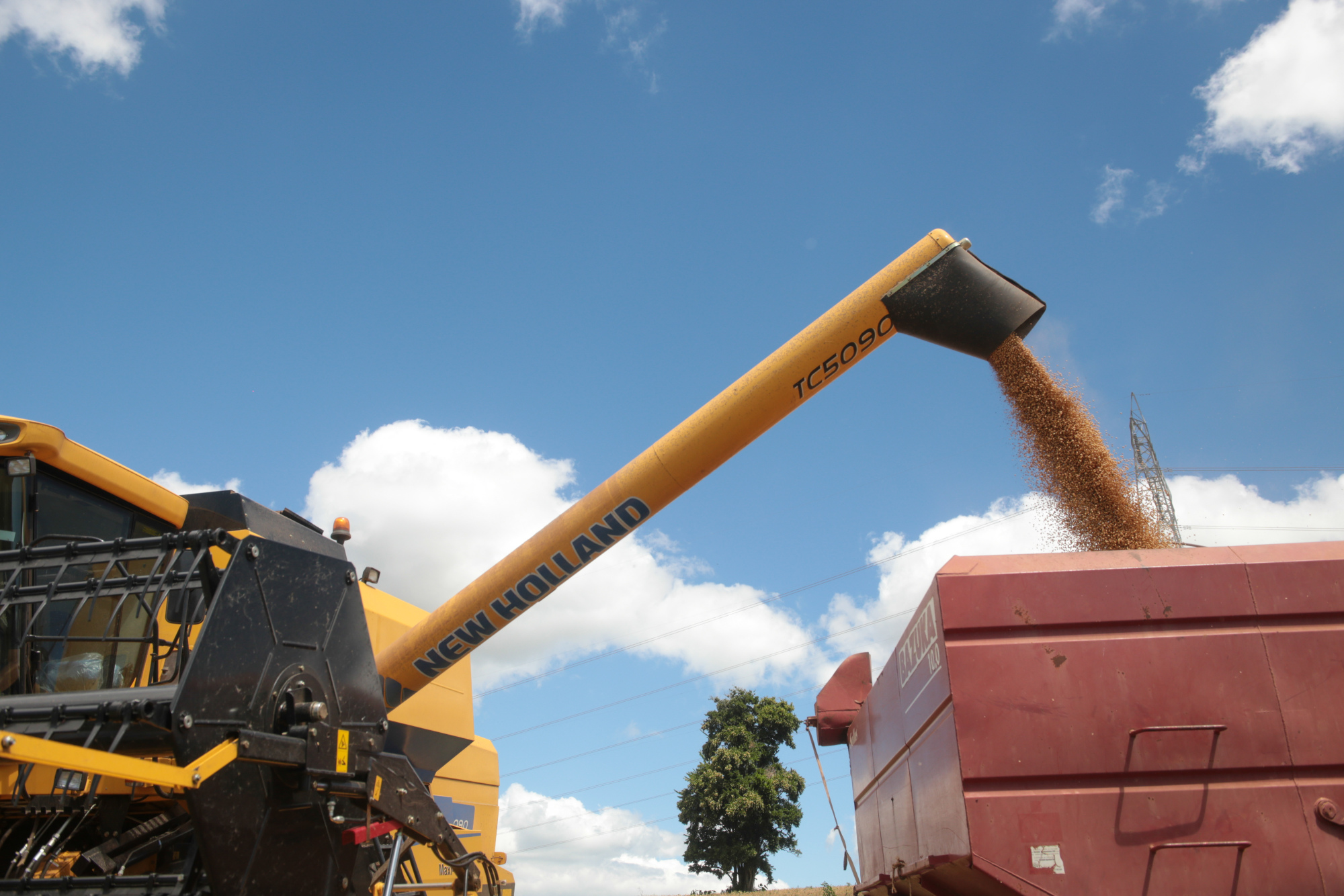Soybeans are loaded into a truck.