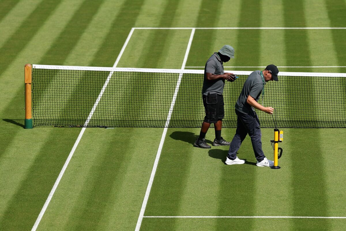 Relentless Heat Waves Hit England’s Fabled Grass Playing Fields