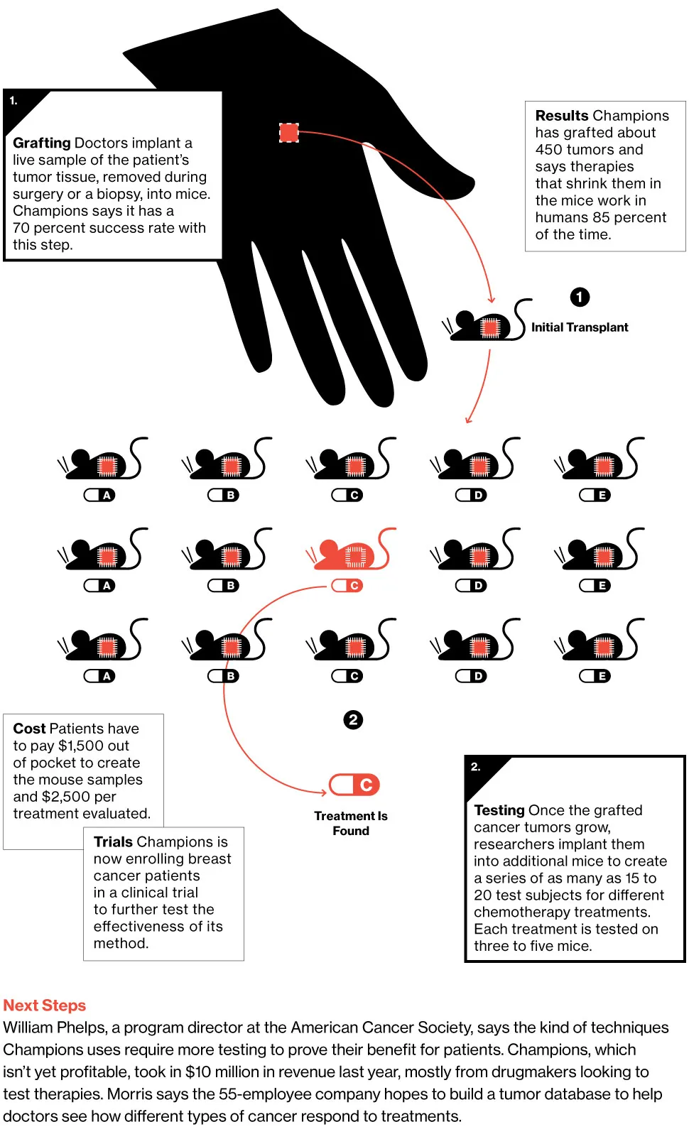 Mouse Avatars for Testing Chemotherapy Drugs