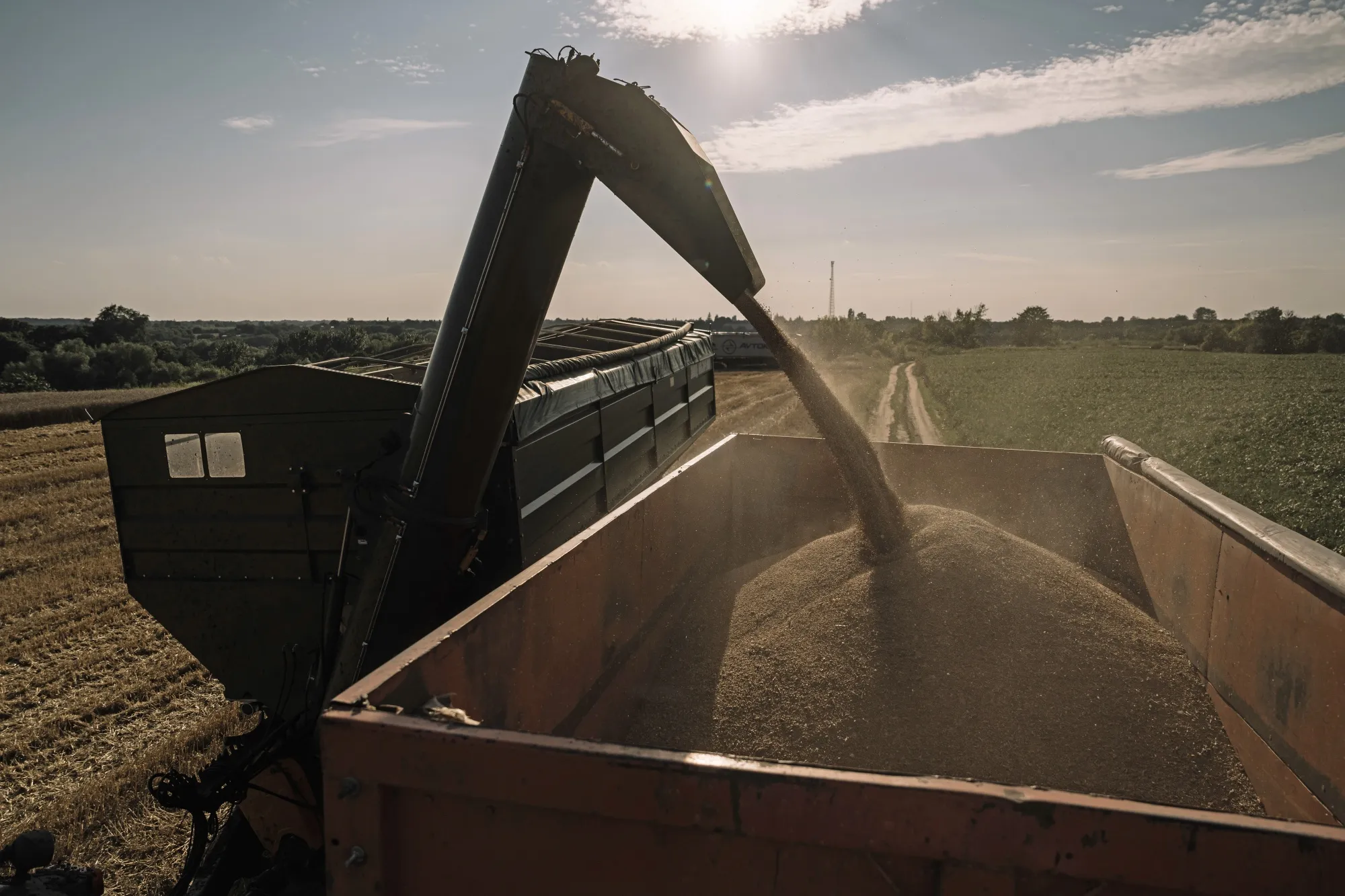A summer wheat harvest in Kyiv region, Ukraine.