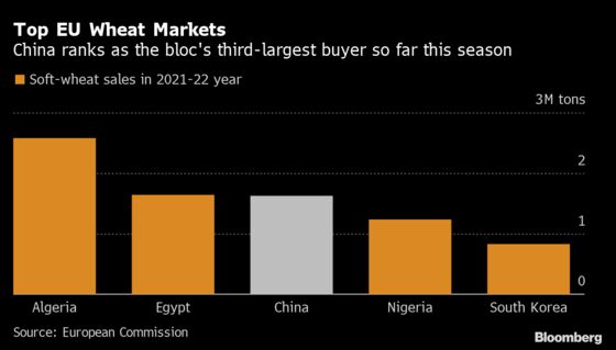 Big Win for Russian Wheat on Go Ahead to Sell More to China