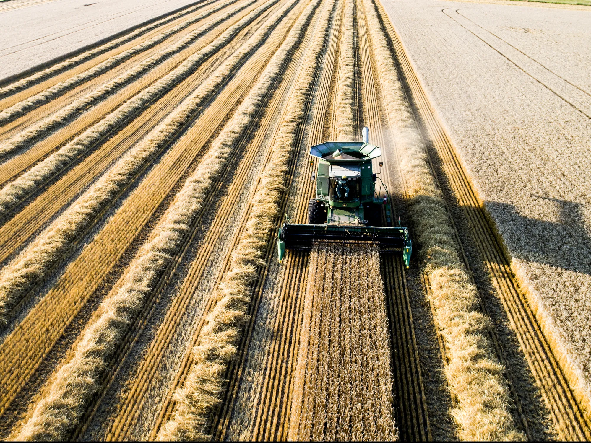 Farmers should be given tax credits to encourage practices that lock away carbon in soil.