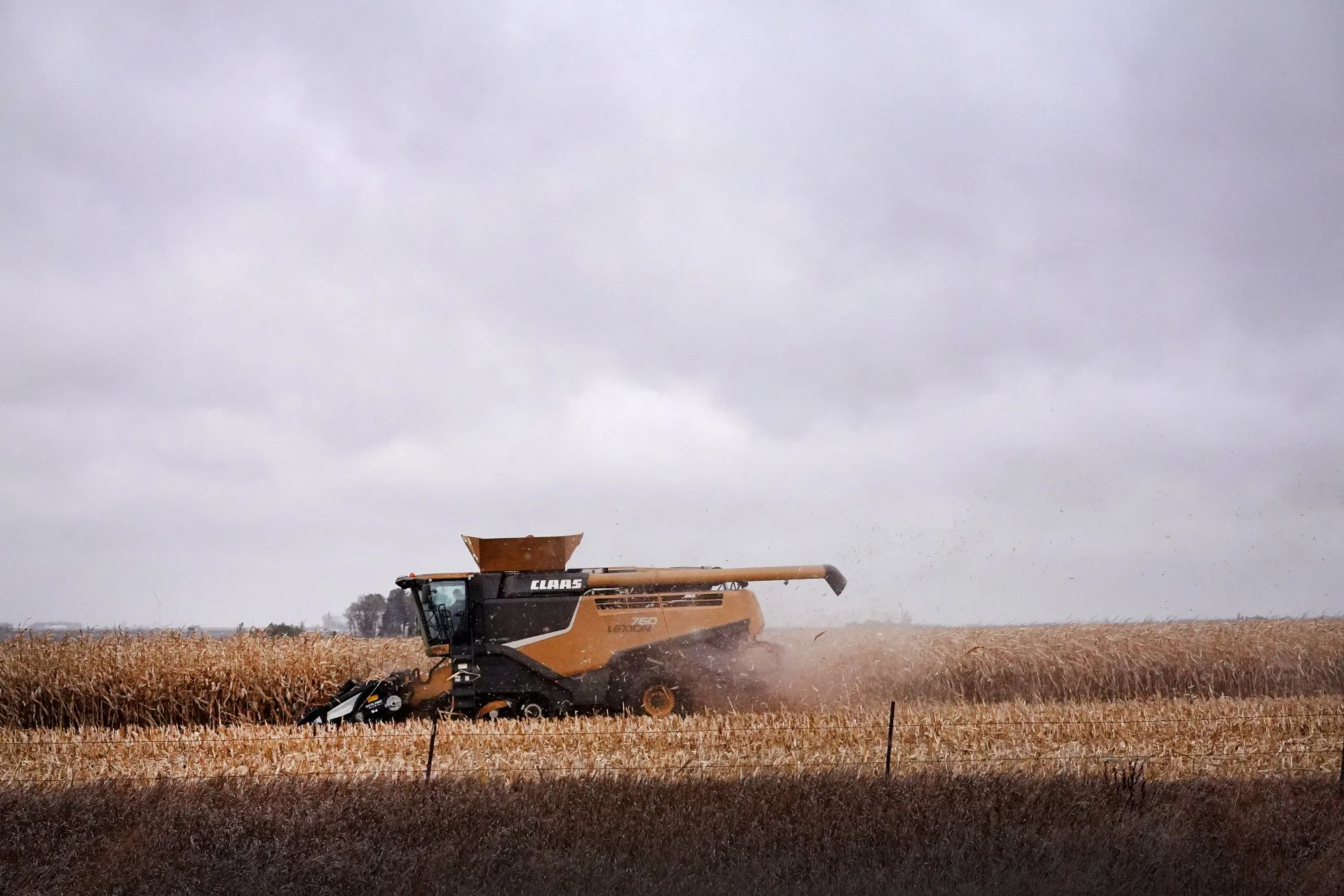 A farmer harvests corn in a field near Osage, Iowa.&nbsp;