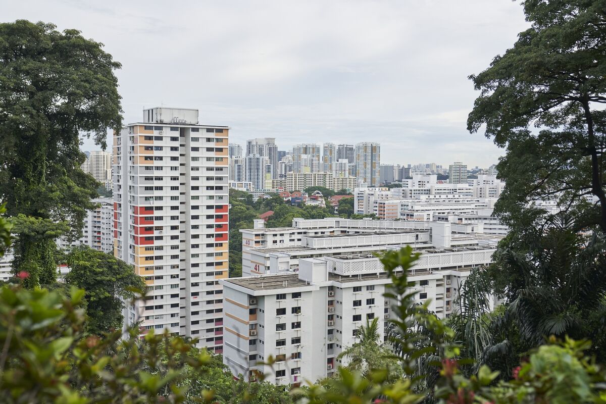 featured image thumbnail for post Billionaires Singapore Property Firm Frasers Sees Earnings Jump