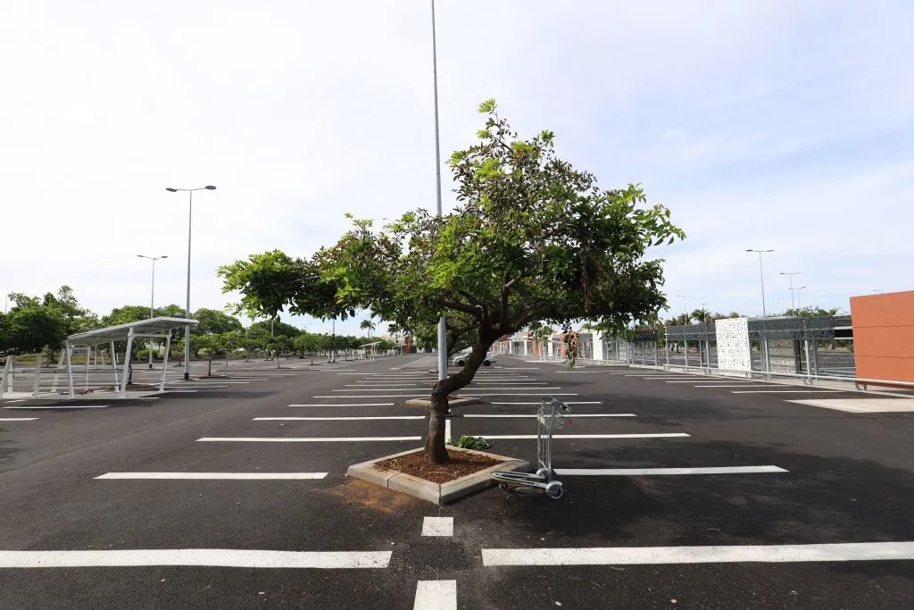 Life after cars? Not anytime soon.