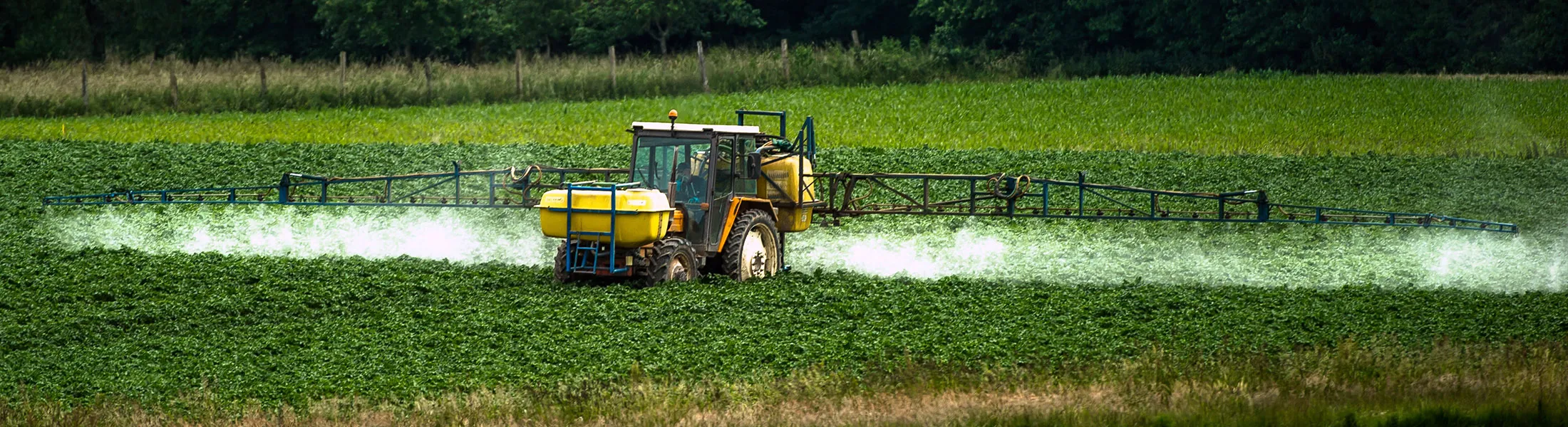 1508820248_Glyphosate weed killer farm lede